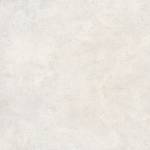 Img 1569